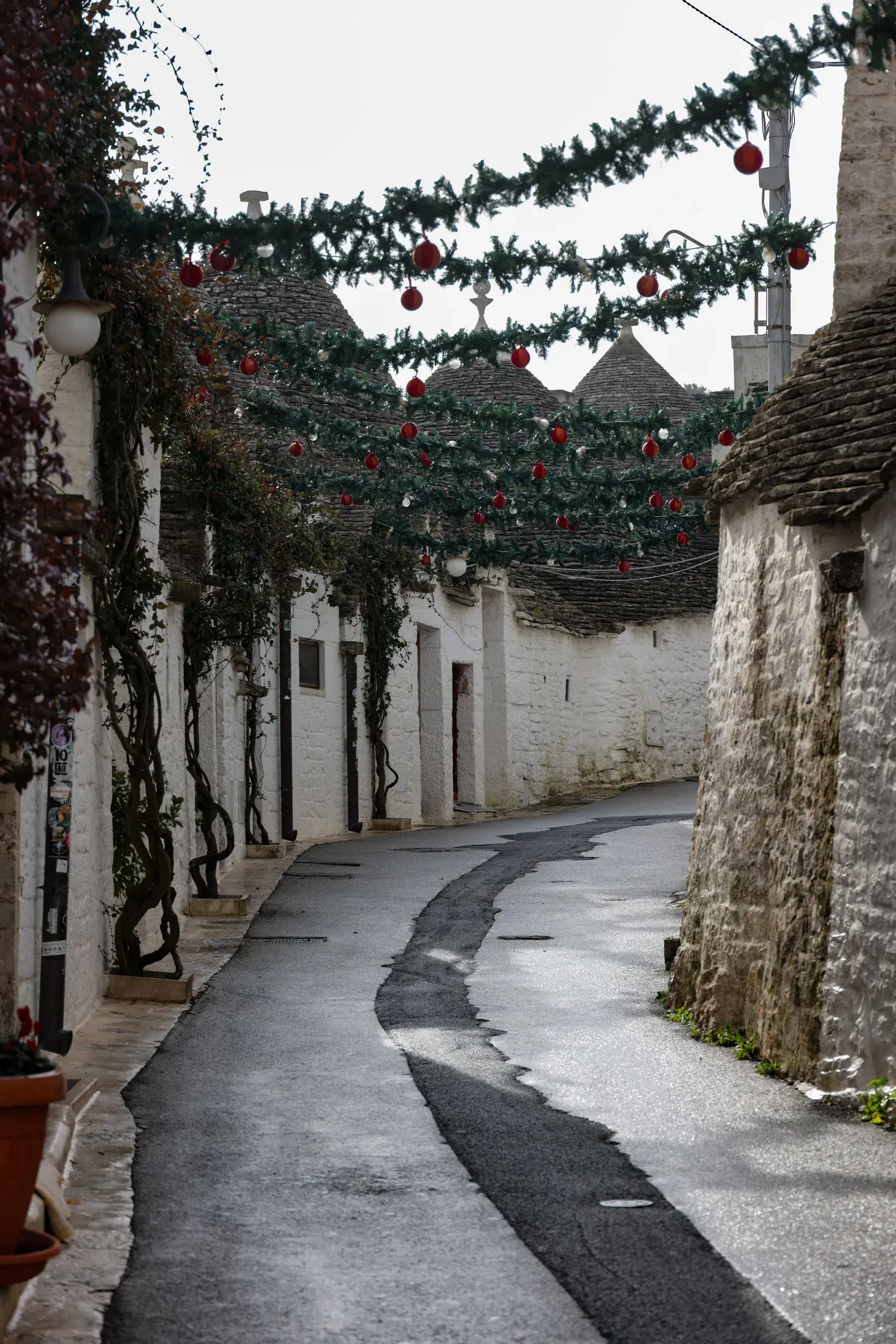Uma viela com guirlandas de abeto e bolas vermelhas penduradas sobre as coberturas dos trulli.