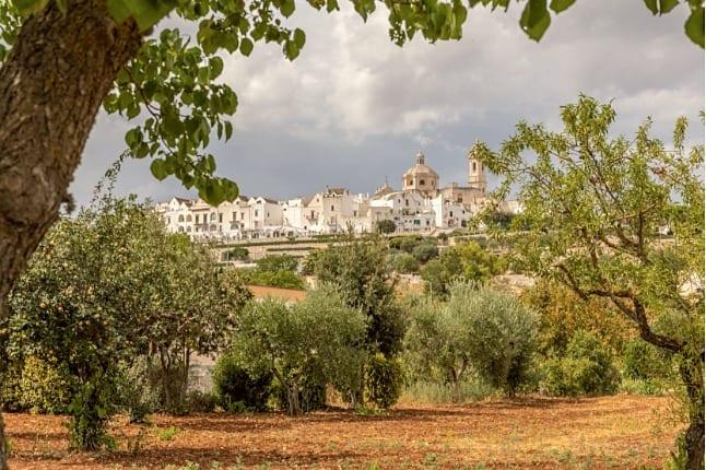 Locorotondo visto dai campi, tra ulivi e terra rossa