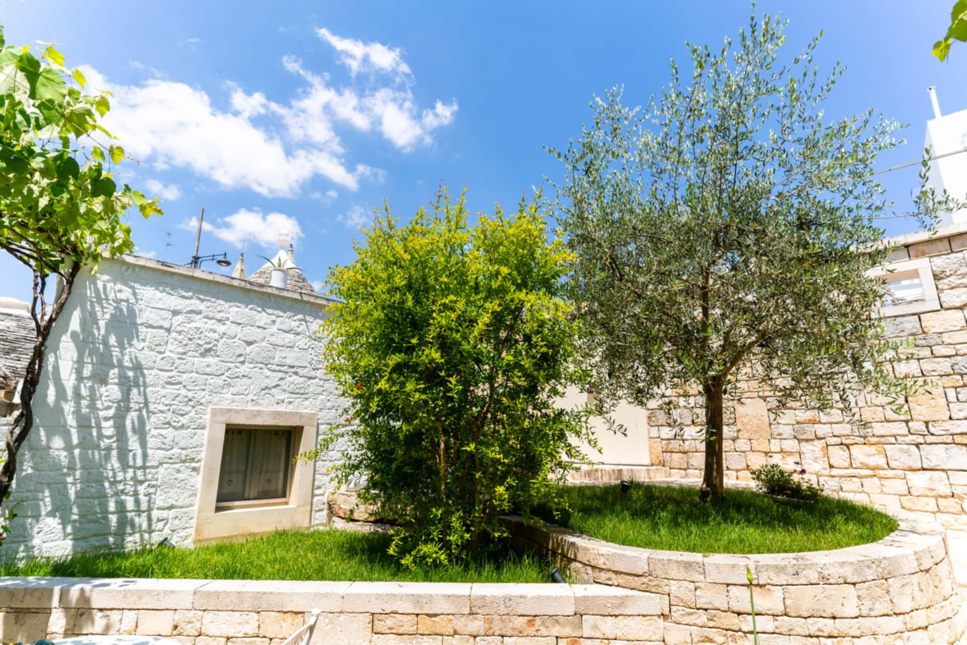 Un ulivo e un melograno nel giardino di Palazzo Scotto ad Alberobello, tra un muro bianco con una finestra e un muretto in pietra a secco.
