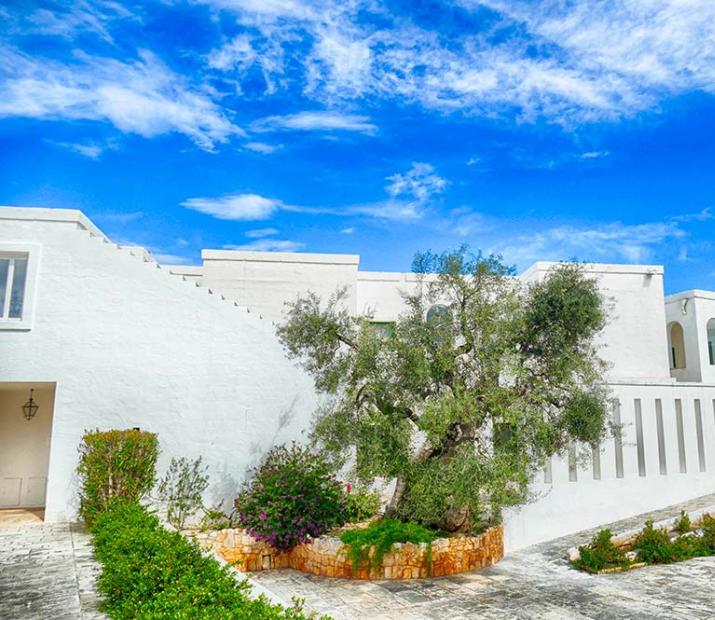 Edificio bianco con giardino sotto un cielo blu.